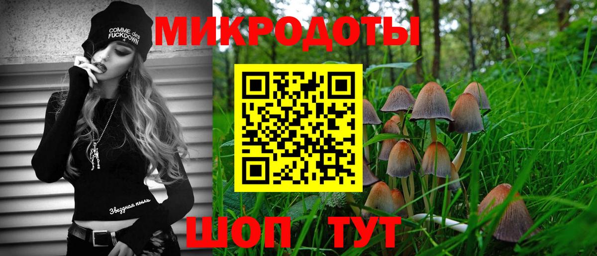 Псилоцибиновые грибы мицелий Ливны
